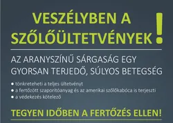Aranyszínű sárgaság betegség borítóképe