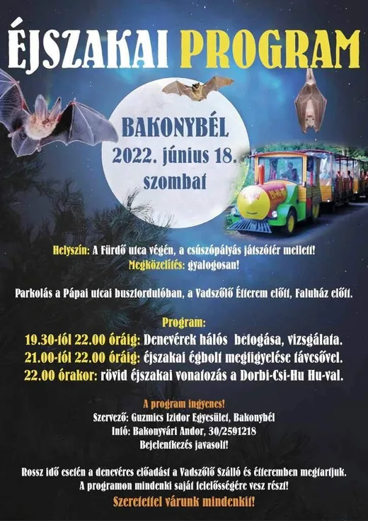 'Éjszakai program' cikk borítóképe