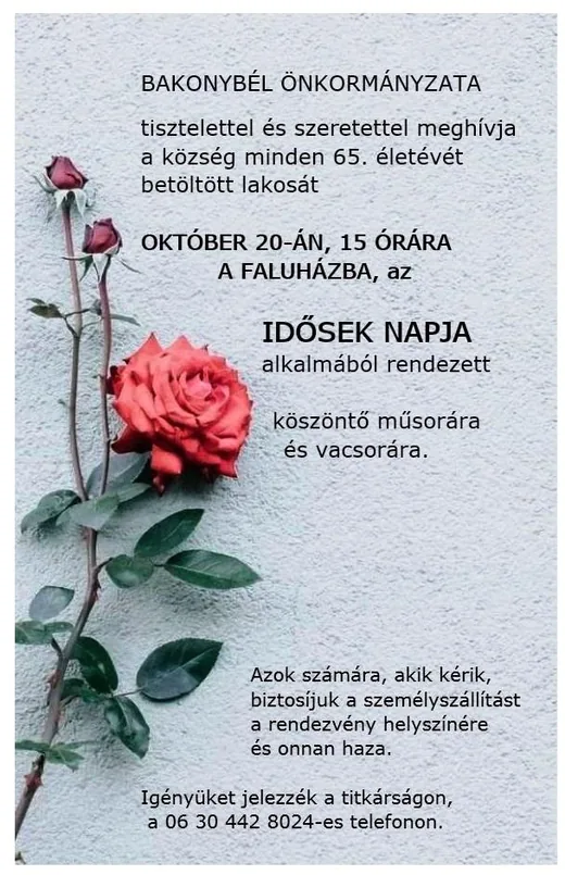 'Idősek napi rendezvény' cikk borítóképe