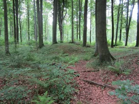 Százhalom halomsírok borítóképe