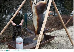 Képek a rendezvényről