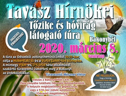 'Tavasz Hírnökei Túra' cikk borítóképe