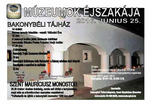 'Múzeumok éjszakája' cikk borítóképe