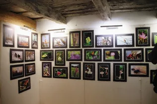 Fotókiállítás, "Ahogy én látom" borítóképe