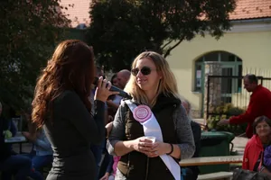 Pityóka Party, késő délután-este Fotó: BakonyiHirek