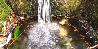 Mezőőri beszámoló borítóképe