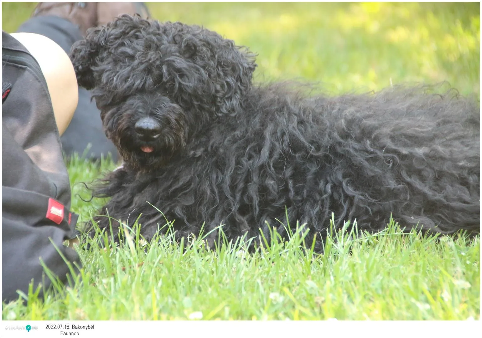 Fotók, Útirány.hu: