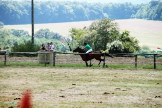 Bakonyi Vágta 2019 borítóképe