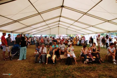 Bakonyi Vágta 2019