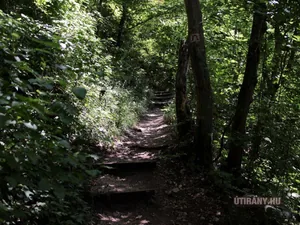 Képek videó 2013 Odvaskő-barlang