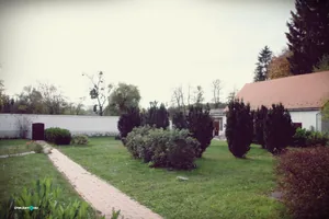 Szentmise után körséta az arborétumban. Fotók: Útirány.hu