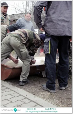 Fotók: Útirány.hu