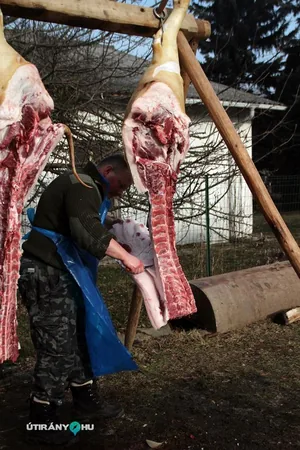 6. Falusi disznóvágás / Fotók: Útirány.hu