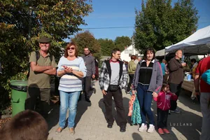 Pityóka Party, késő délután-este Fotó: BakonyiHirek