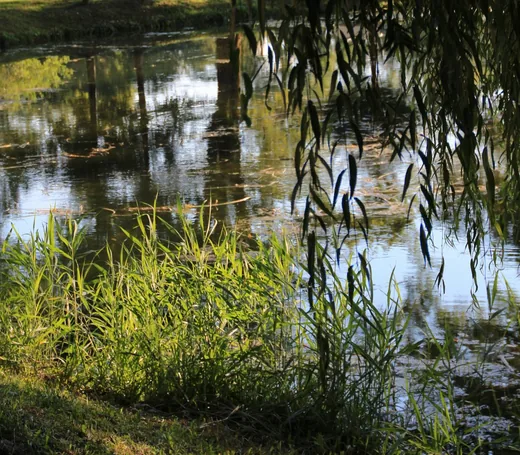 'Tavak' cikk borítóképe