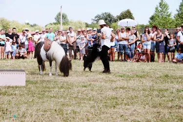 Bakonyi Vágta 2019