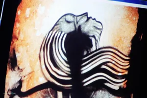 Teremtés Napja - Család-fa ültetés / Fotók: Útirány.hu