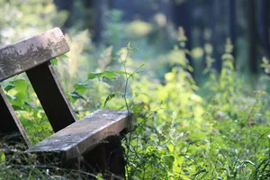 Kapcsolódó képek, hogy tudjuk, mire kellene vigyáznunk...