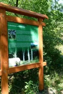 'Boroszlán Tanösvény' cikk borítóképe