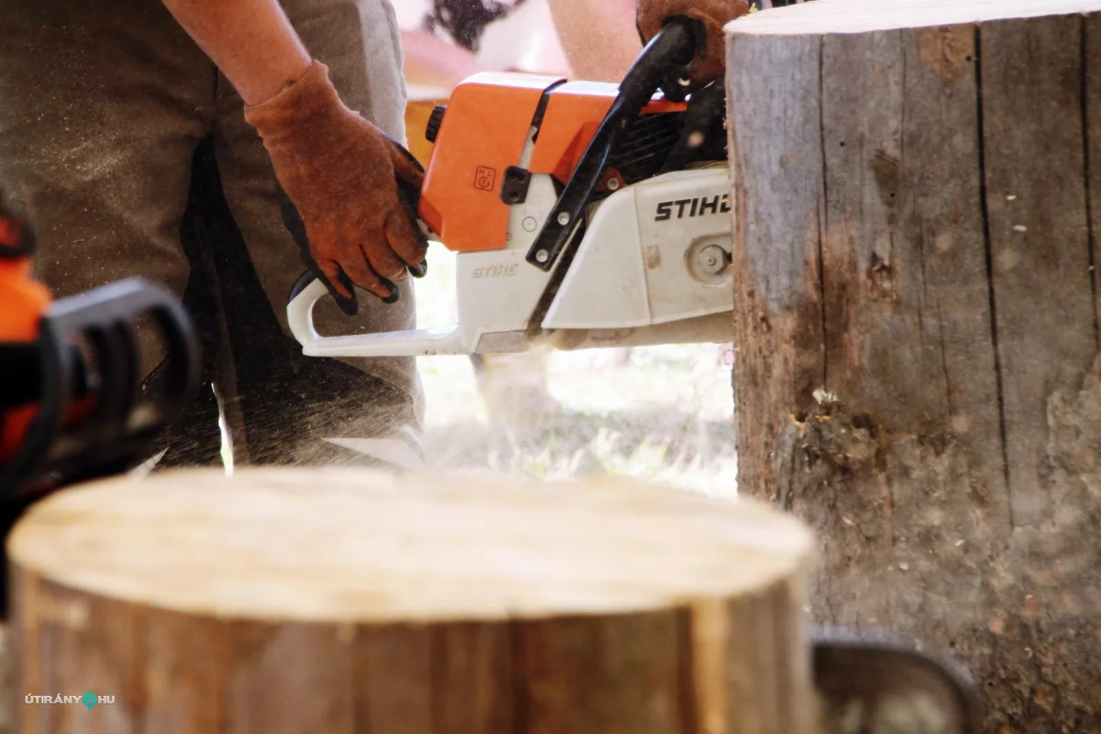 2019 Bakonyi Vágta. Fotók: Útirány.hu