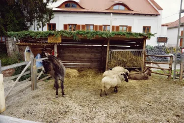 Betlehem 2019 Fotó: Nagy Ferenc