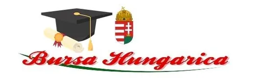 'Felhívás Bursa Hungarica pályázatra' cikk borítóképe