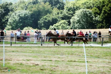 Bakonyi Vágta 2019