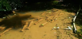 Világháborús bombákat találtak Bakonybélnél borítóképe