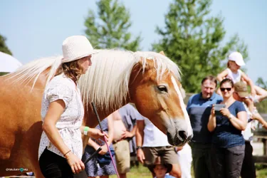 Bakonyi Vágta 2019