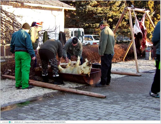 'IX. Bakonybéli Hagyományőrző Falusi Disznóvágás' cikk borítóképe