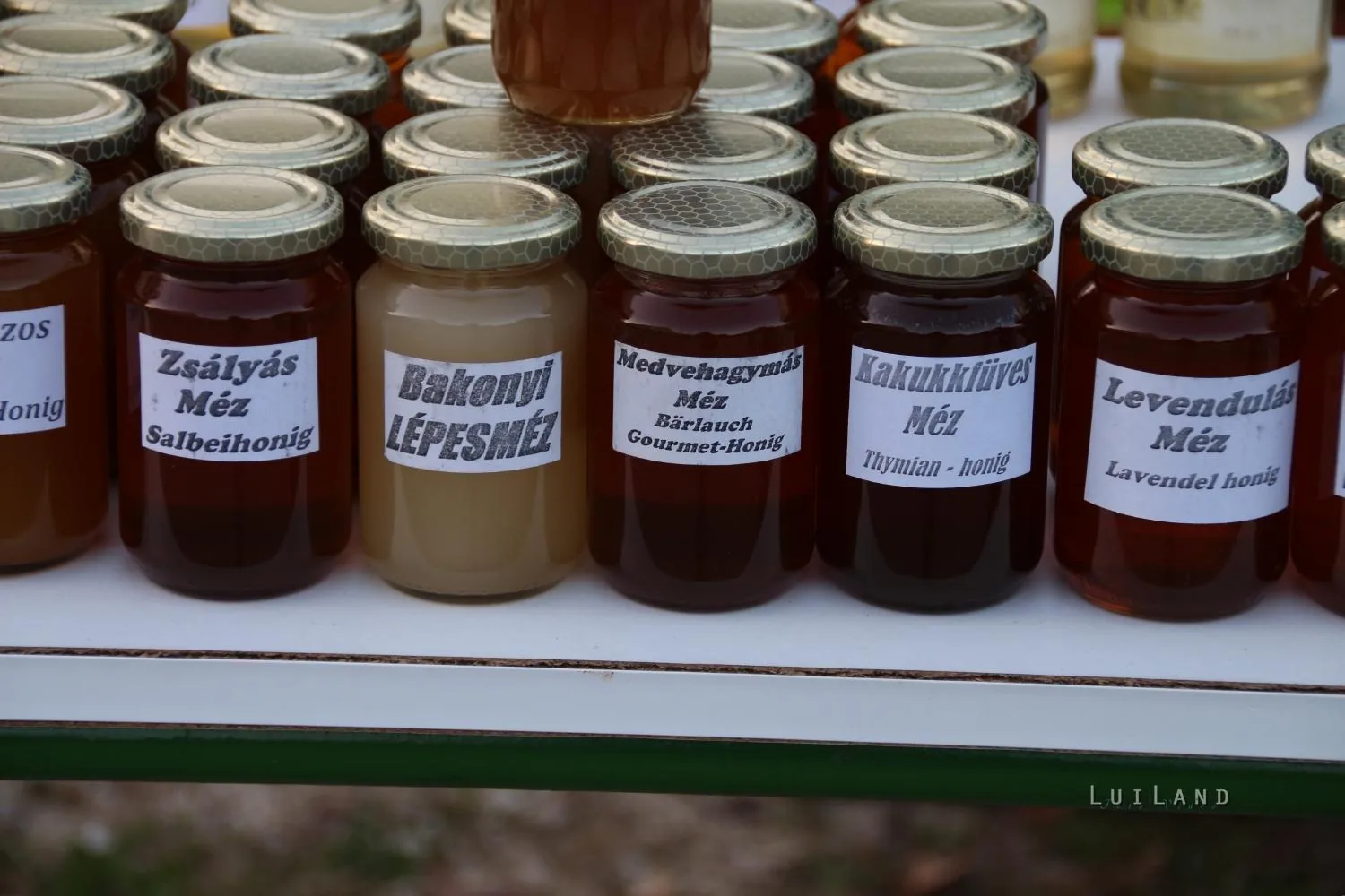 Pityóka Party, késő délután-este Fotó: BakonyiHirek