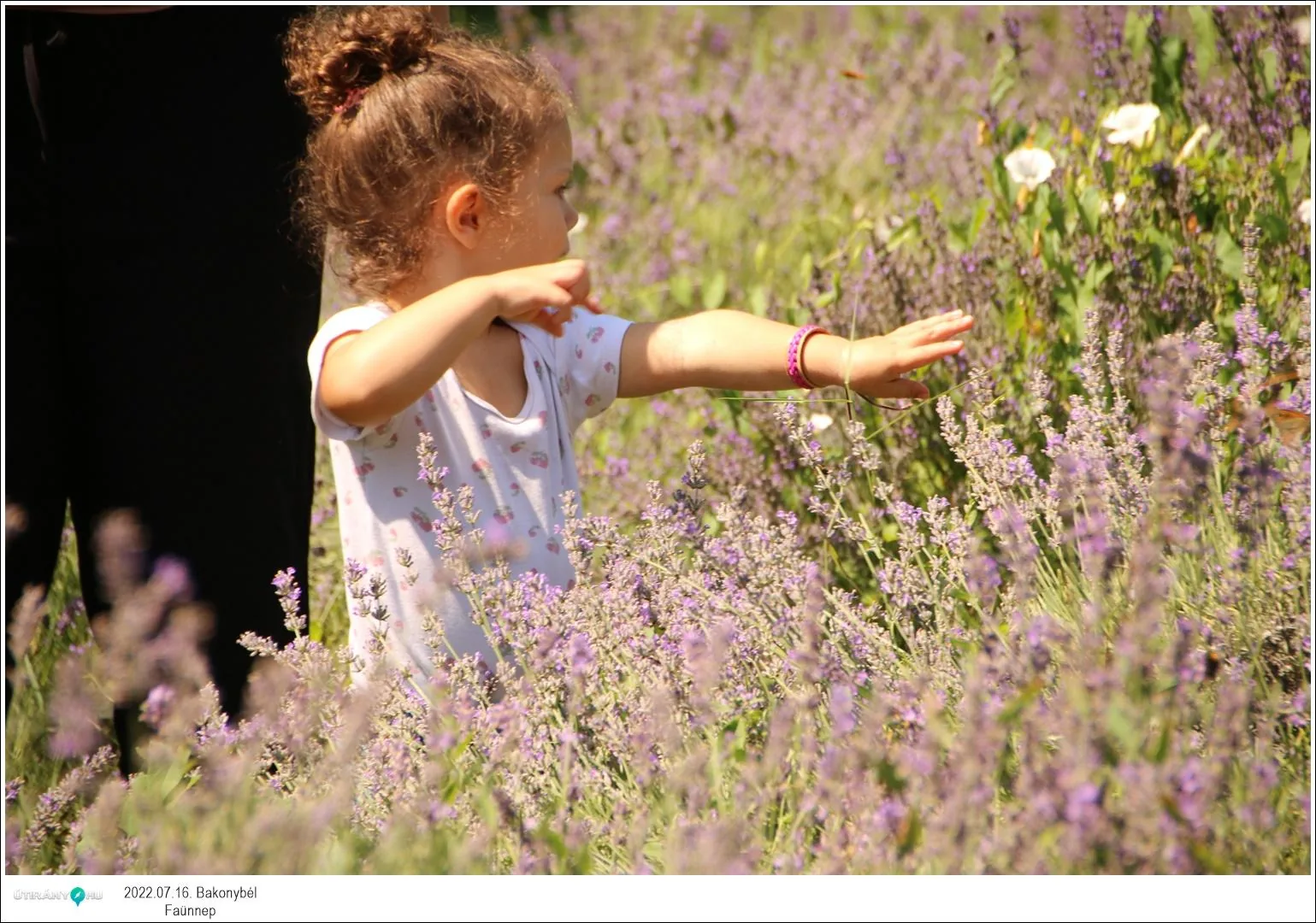 Fotók, Útirány.hu: