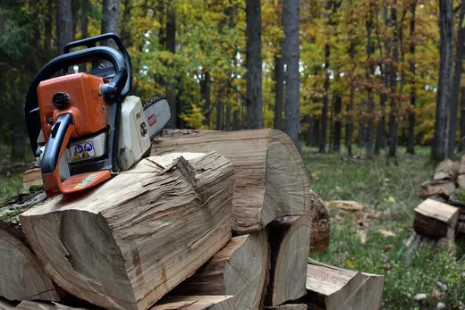 'Faanyag elrakó munkakör Ugod' cikk borítóképe