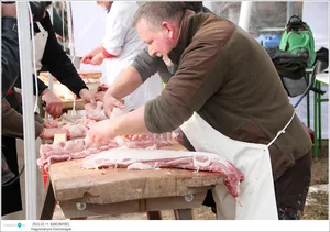 Fotók: Útirány.hu, Kiss Szabó Zoltán