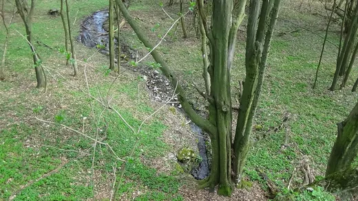 'Kő kút' cikk borítóképe