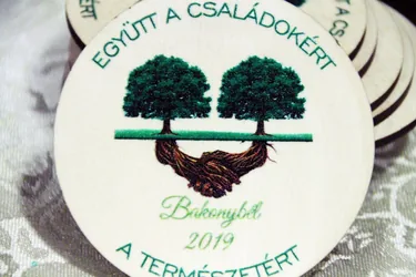 Teremtés Napja - Család-fa ültetés