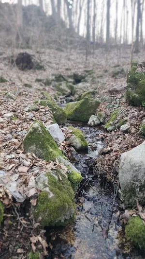 Képek 2025 Útirány.hu