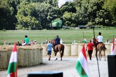 Bakonyi Vágta 2019