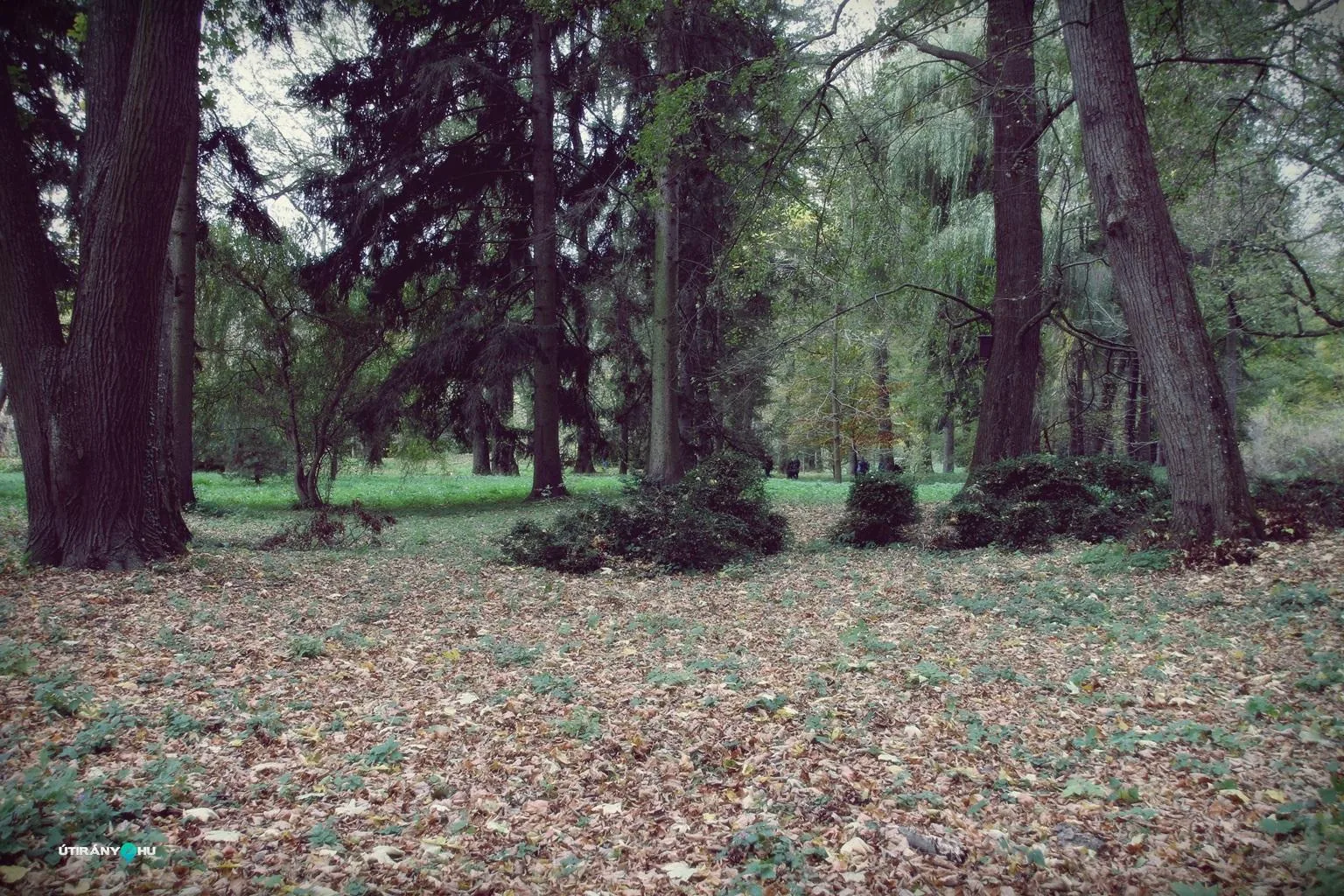 Szentmise után körséta az arborétumban. Fotók: Útirány.hu