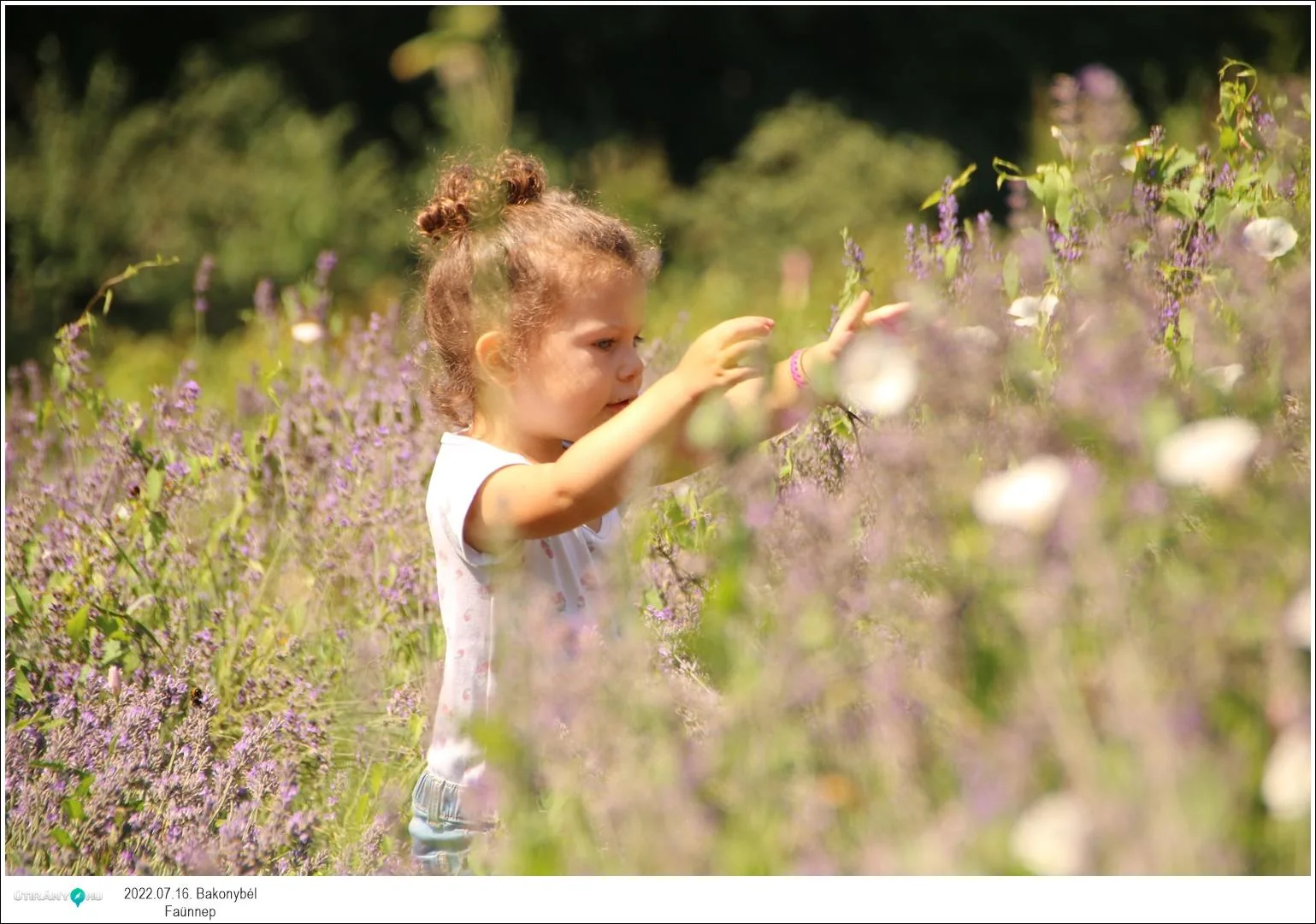 Fotók, Útirány.hu: