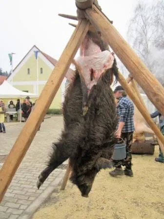 Fotók a disznóvágásról