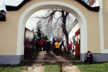 12. Medvehagymás napok