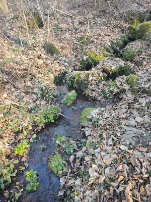 Képek 2025 Útirány.hu