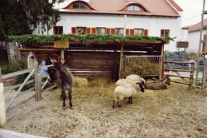 Betlehem 2019 Fotó: Nagy Ferenc