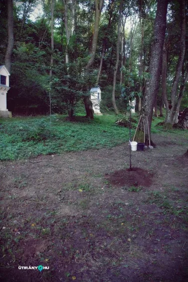 Teremtés Napjának Ünnepe