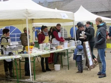 Fotók a disznóvágásról