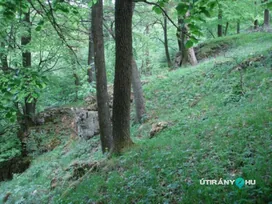 Pápavár borítóképe