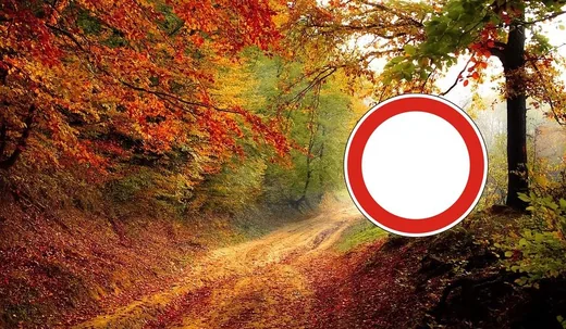 'Erdőlátogatási korlátozás!' cikk borítóképe