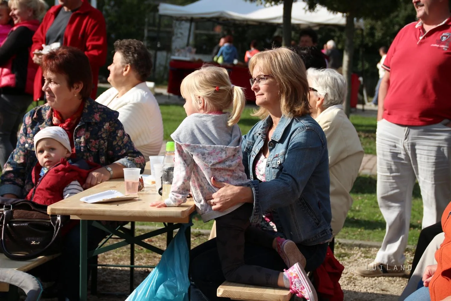 Kora délután, fotók: BakonyiHírek
