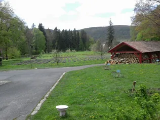 Ismét látogatható a Szent Mauríciusz Monostor arborétuma! borítóképe